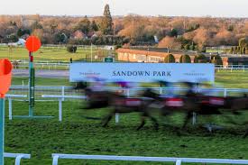 Image result for Sandown Sports Club