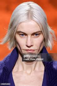 Image result for delfine bafort