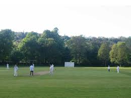 Image result for Bradley & Colnebridge Cricket Club