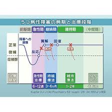 Image result for うつ病 亜型分類