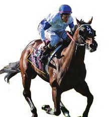 Image result for Bletchingly Badminton Club