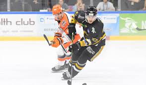 Image result for Nottingham Panthers