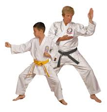 Image result for Thatcham Wado Karate Club