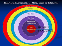 Image result for consciousness