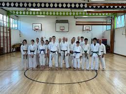 Image result for Haslemere Karate Club