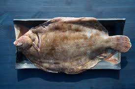 Image result for Microstomus kitt