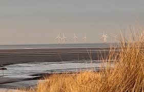 Image result for Hightown Club