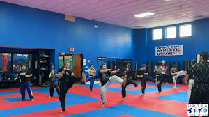 Image result for Dacula Martial Arts Academy