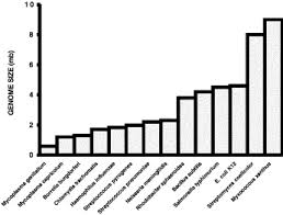 Image result for genome sizes