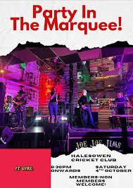 Image result for Halesowen Cricket Club