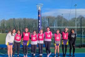 Image result for Wyvern Ladies Netball Club