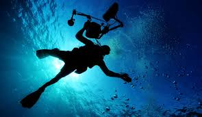 Image result for 3D Diving Club