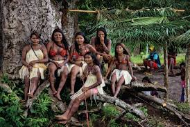 Image result for tribe