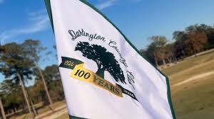 Image result for Darlington Scrabble Club