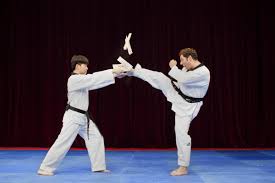 Image result for South Bank Taekwondo