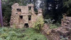 Image result for Lanchester Cricket Club