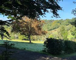 Image result for Nutfield Youth