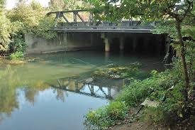 Image result for Byfleet Angling Club