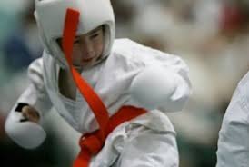 Image result for Seiki Juku Karate Organisation