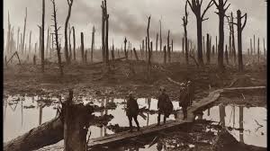 Image result for агент оранж