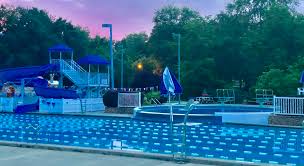 Image result for Elmbridge Phoenix Swimming Club