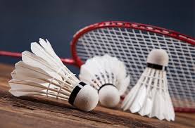 Image result for Torrisholme Badminton Club