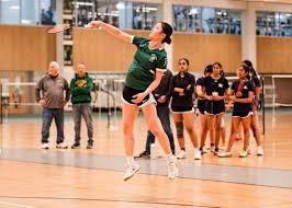 Image result for Link Ladies Badminton Club