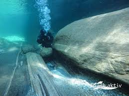Image result for TAL Divers