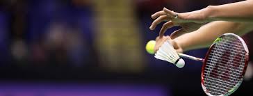 Image result for Rye Badminton Club