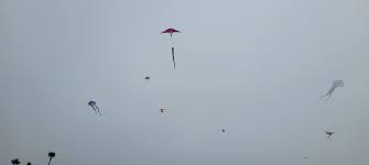 Image result for Poole Kite Fliers