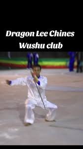 Image result for Dragon Wushu Club