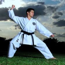 Image result for Charnwood Shoto Ryu Karate kai