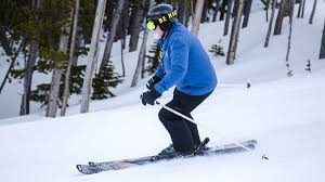 Image result for Gordon Skiers