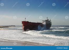 Image result for Pasha bulker
