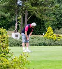 Image result for Hertfordshire Microlight Club