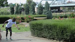Image result for Plough & Chequers Petanque Club