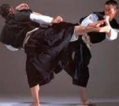 Image result for Harrow Shorinji Kempo