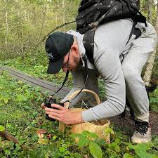 Attēlu rezultāti vaicājumam “Hapalopilus aurantiacus”