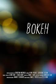 Image result for bokeh