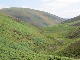 Image result for example