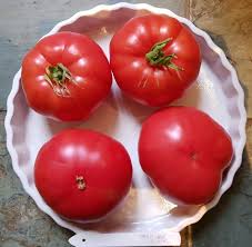 Afbeeldingsresultaat voor caspian pink tomato