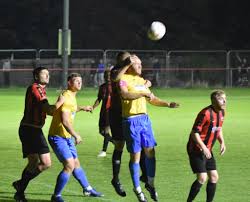 Image result for Ockley Acorns Junior F C