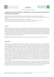 Attēlu rezultāti vaicājumam “Schistidium apocarpum young”