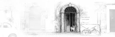 「望月麻里（マリ）」の画像検索結果