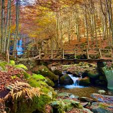 Image result for cascate del dardagna