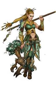 Image result for druid