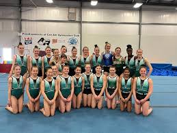 Image result for Maple Gymnastics Club