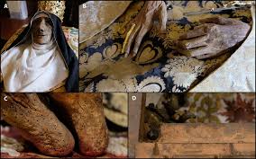 Attēlu rezultāti vaicājumam “Priobium carpini”