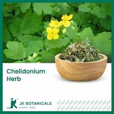 Attēlu rezultāti vaicājumam “Chelidonium majus”