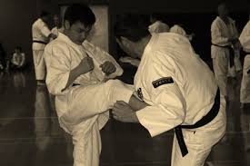 Image result for Bournemouth Shorinji Kempo Club